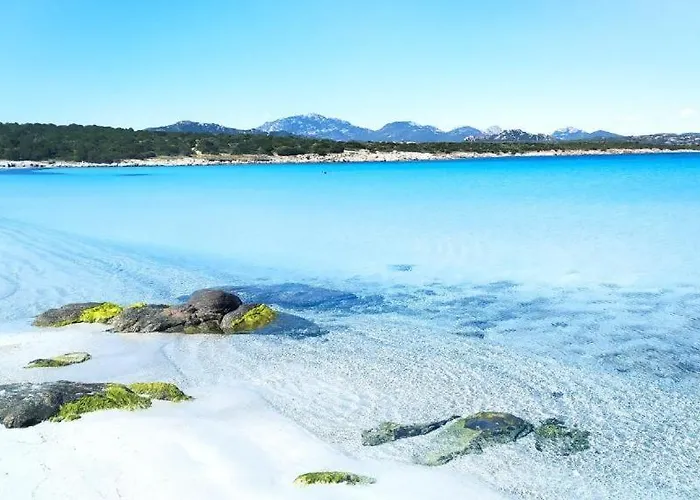 Semesterbostad Golfo Marinella *